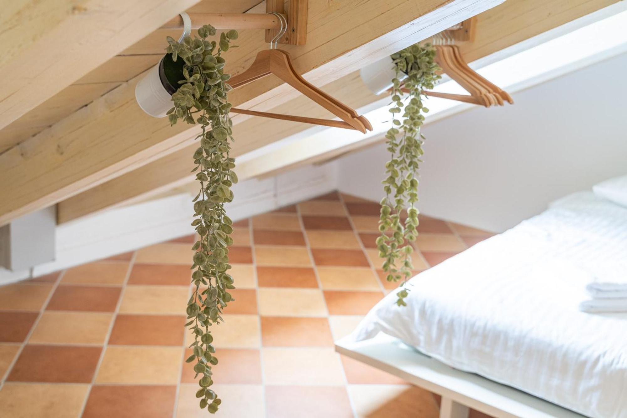 Apartment Kenova Old Town