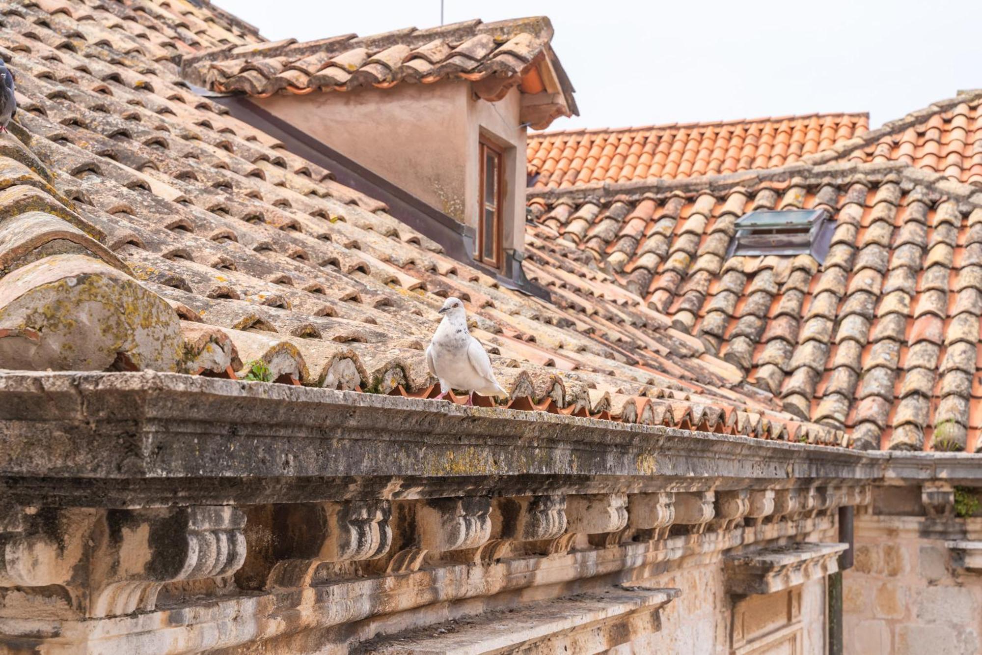 Kenova Old Town Apartma Dubrovnik